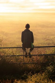 a person sitting on a fence looking at the grass