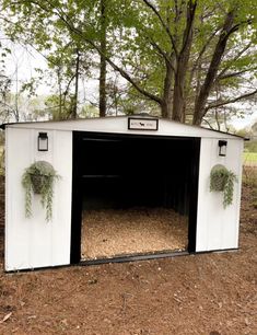 a white shed with plants growing out of it