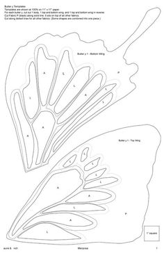 the diagram shows how to draw an insect's wing