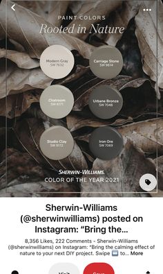 an advertisement for sherylin williams's paint products on instagraming the website