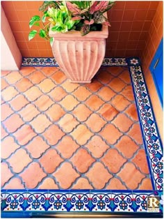 a potted plant sitting on top of a tiled floor