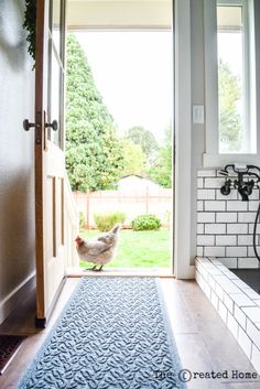 an open door leading to a chicken in the yard