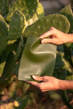 two hands are holding a piece of green paper in front of a plant with large leaves