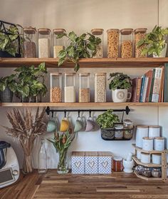 the shelves in this kitchen are filled with plants and other things to put on them