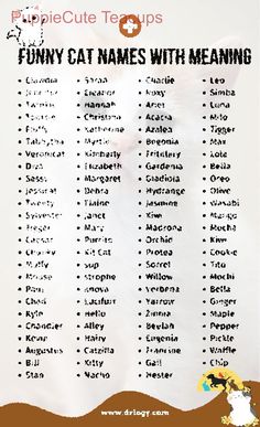 a list of funny cat names with meaningss and pictures on the front, in black and white