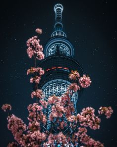 cherry blossoms are blooming in front of a tall building at night with the moon behind it