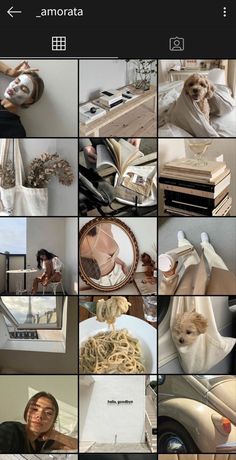 a collage of photos with a dog in the middle and various objects around it