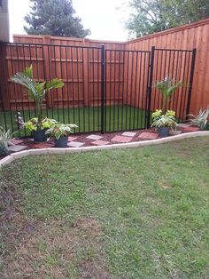 a fenced in yard with some plants on the ground