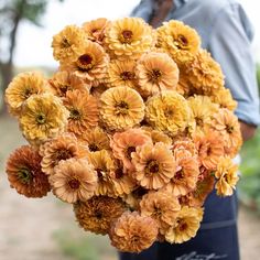 a person holding a bunch of flowers in their hands and wearing an apron on the other side