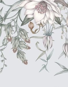 a drawing of flowers and leaves on a white background