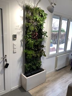 a living wall with plants growing on it's sides in an office space next to a door