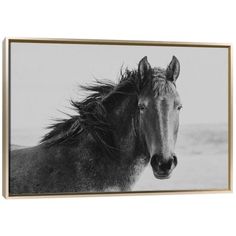 a black and white photo of a horse with long hair on it's head