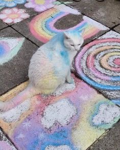 a white cat sitting on top of a sidewalk covered in chalk pastel art designs