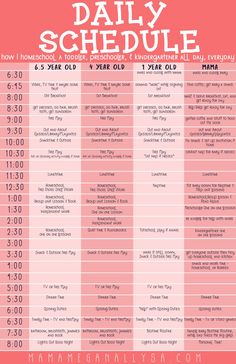 the daily schedule is shown in pink and white