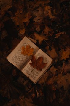 an open book with a leaf laying on top of it in the middle of leaves