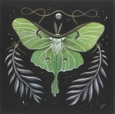 a drawing of a green moth on a black background with leaves and stars around it