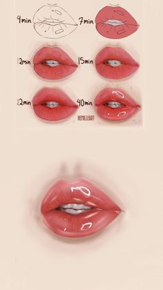 the different lips are shown in this diagram, and there is no image to describe