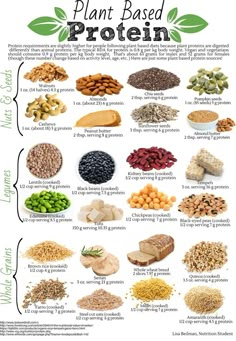 Protein Chart, Plant Based Proteins, Vegetarian Protein Sources, Protein Bread, Plant Based Diet Recipes, Vegetarian Protein, Vegan Nutrition, Makanan Diet