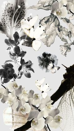 an image of flowers and butterflies in black and white