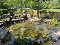 a small pond in the middle of a yard