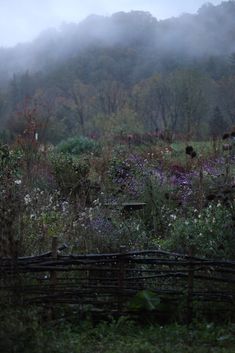 a foggy forest filled with lots of trees and flowers next to a wooden fence