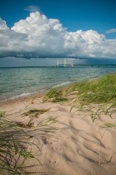 the beach is covered in grass and water under a cloudy blue sky with white clouds