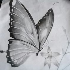 a black and white drawing of a butterfly on a piece of paper with flowers in the background