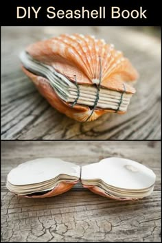 an open book sitting on top of a wooden table next to a seashell shaped book