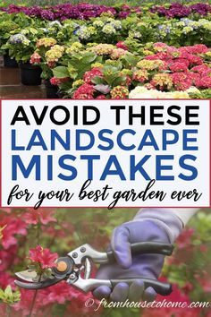 Landscaping Mistakes: Avoid These 10 Common Issues For Your Best Garden Ever Gardening Layout, Gardening Drawing, Gardening Painting, Modern Gardening, Gardening Pots, Kitchen Gardening, Gardening Aesthetic, Rose Gardening, Gardening Projects