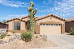 a large cactus in front of a house with rocks and gravel around the driveway area