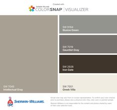 the color scheme for colorsnap visualizer is shown in gray, brown and white