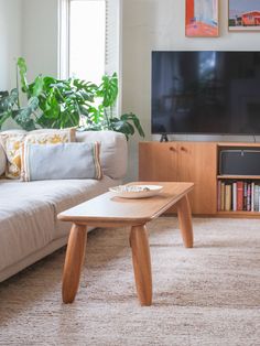 a living room with a couch, coffee table and television