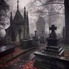 an old cemetery with tombstones in the foreground and trees around it on a foggy day