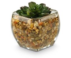 a glass vase filled with rocks and plants