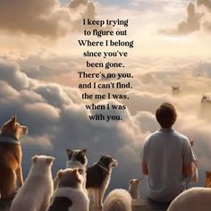 a man sitting on top of a hill surrounded by dogs and cats with the words, i keep trying to figure out where i belong