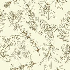 a drawing of leaves and flowers on a white background with brown ink, drawn by hand