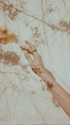 a person's hand reaching for something in the air