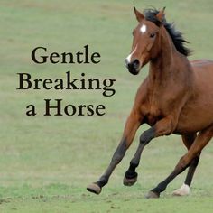 a brown horse galloping across a green field with the words gentle breaking a horse