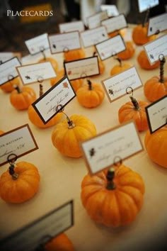 there are many small pumpkins on the table with name cards attached to each one