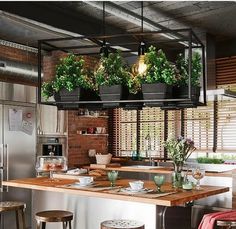 a kitchen filled with lots of potted plants on top of a wooden countertop