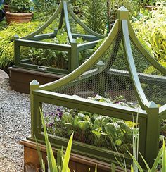 an image of a garden with plants growing in the planter boxes and on the ground