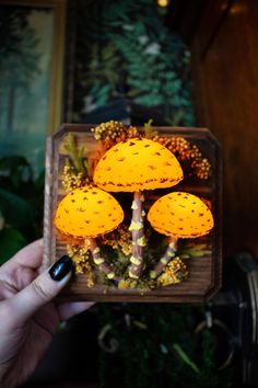 a person holding up a small wooden box with mushrooms on it's sides and plants in the background