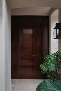 an entry way with a plant and two doors