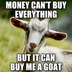 a goat with the caption money can't buy everything but it can buy me a goat