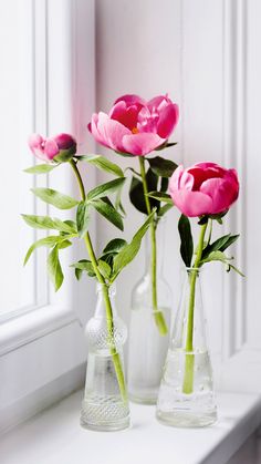 three vases with pink flowers in them on a window sill