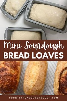 mini sourdough bread loaves in pans with text overlay