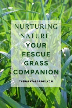 green grass with the words nurturing nature your rescue grass companion on it and an image of