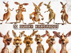 various kangaroos with different expressions and poses