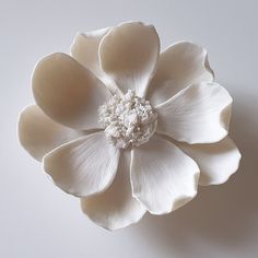 a large white flower on a white surface