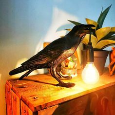 Black Raven Bird Crow Lamp. Shop Lamps on Mounteen. Worldwide shipping available. Interior Light Fixtures, Spooky Home Decor, Raven Bird, Dark Spirit, Black Raven, Point Design, Light Bulb Lamp, Black Crow, Plant Vase